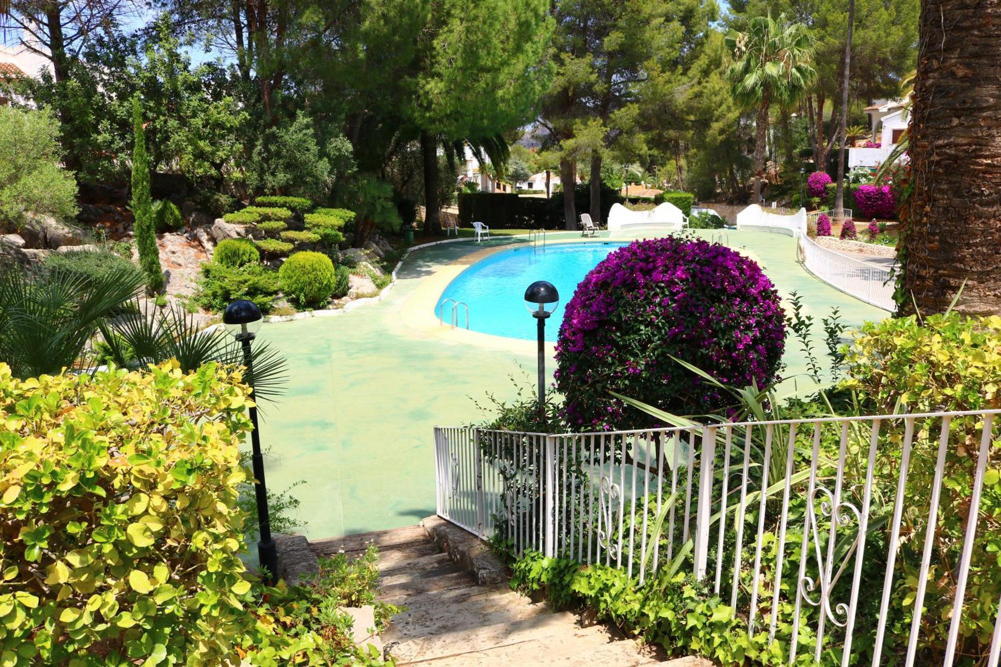 Buganvilla *